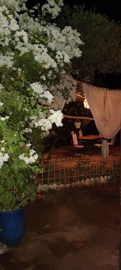 منزل الضيف آيت ورير  في Dar Tadout المظهر الخارجي الصورة